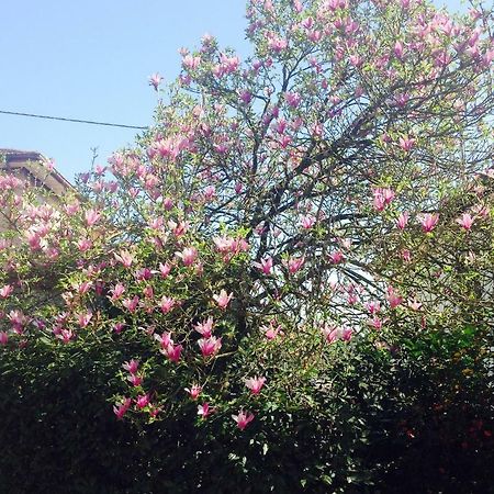 La Magnolia Διαμέρισμα Riccο del Golfo di Spezia Εξωτερικό φωτογραφία