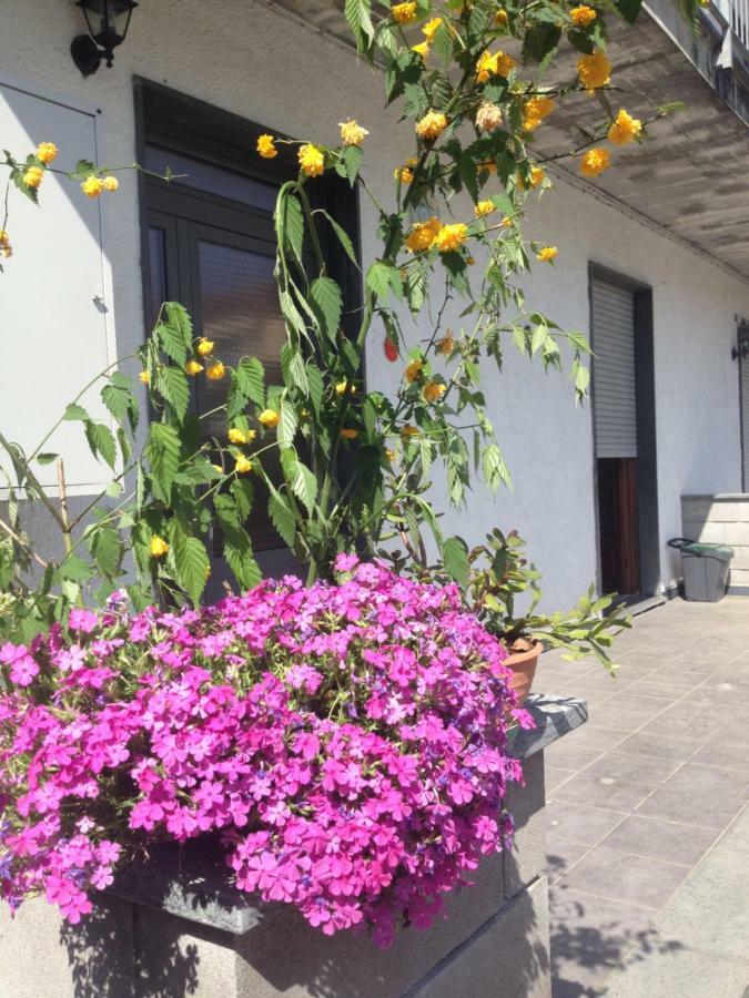 La Magnolia Διαμέρισμα Riccο del Golfo di Spezia Εξωτερικό φωτογραφία