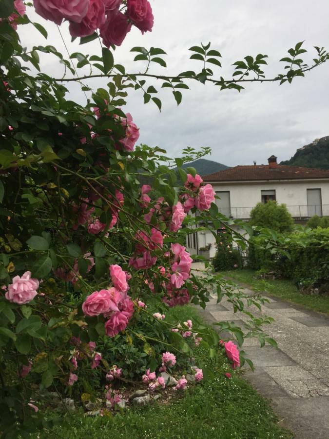 La Magnolia Διαμέρισμα Riccο del Golfo di Spezia Εξωτερικό φωτογραφία