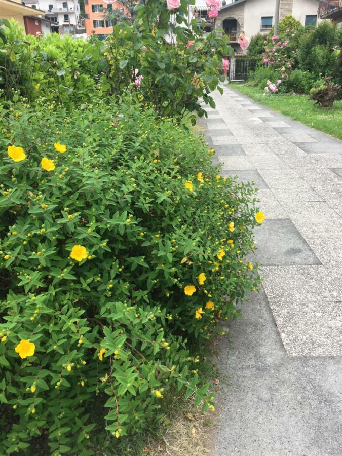 La Magnolia Διαμέρισμα Riccο del Golfo di Spezia Εξωτερικό φωτογραφία