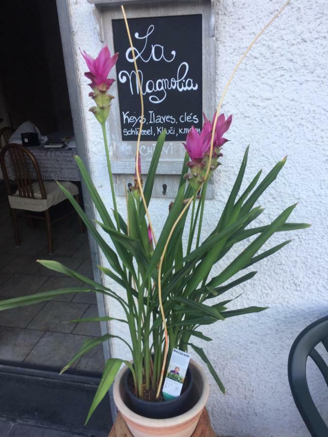 La Magnolia Διαμέρισμα Riccο del Golfo di Spezia Εξωτερικό φωτογραφία