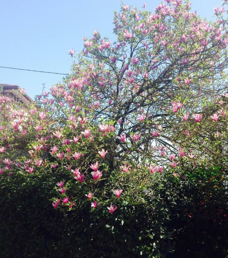 La Magnolia Διαμέρισμα Riccο del Golfo di Spezia Εξωτερικό φωτογραφία