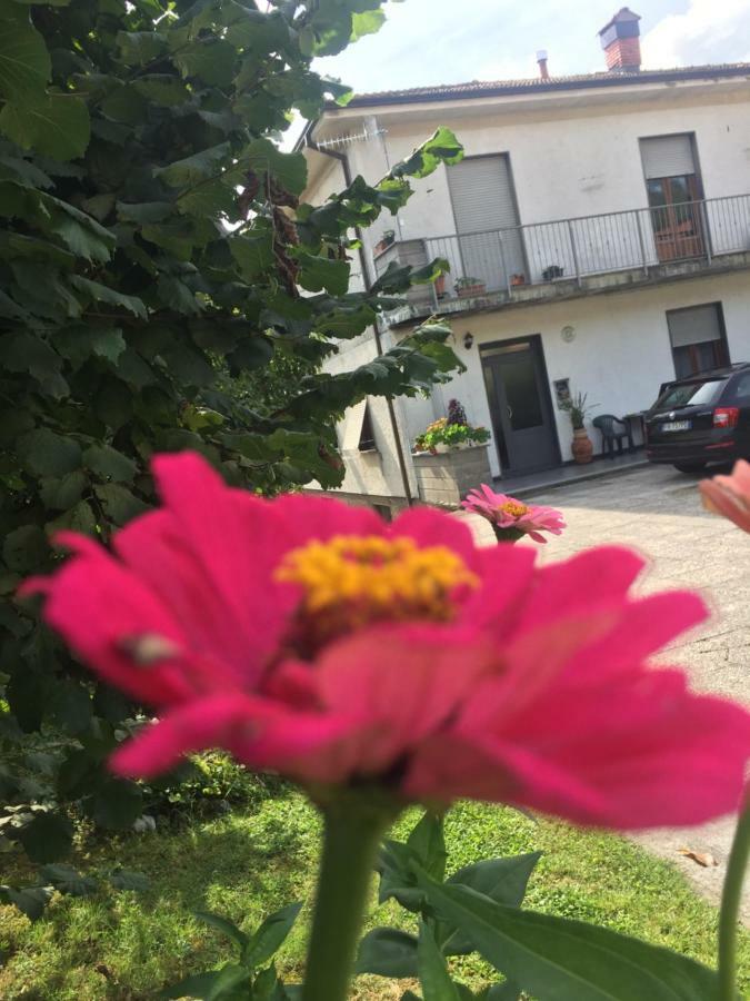 La Magnolia Διαμέρισμα Riccο del Golfo di Spezia Εξωτερικό φωτογραφία